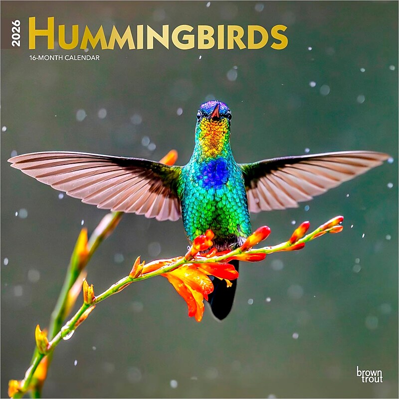 2026 BrownTrout Hummingbirds 12" x 12"  Monthly, Paper Cover, Hummingbirds (9798330703807) image 1