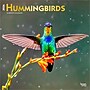 2026 BrownTrout Hummingbirds 12" x 12"  Monthly, Paper Cover, Hummingbirds (9798330703807)~#|#~40647202-F397-4D3D-926CA2C11E9DC89E_sc7
