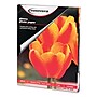 Innovera Glossy Photo Paper, 8.5" x 11", 100 Sheets/Pack (IVR99490)~#|#~408D802A-CBBC-481F-8766EDB6D17920F6_sc7