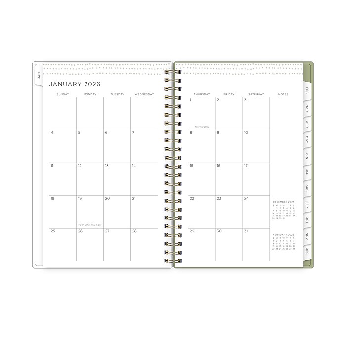 2026 Blue Sky Kelly Ventura Cosmo Garden 5