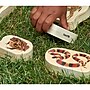 TickiT Wooden Reptile & Amphibian Blocks, Natural, 15/Set (CTU73570)~#|#~40D3C573-7144-4CE9-B1B8BA9DF7B9B008_sc7