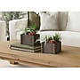 Monarch Specialties Inc. 10" Artificial Succulent in Pot, 2/Set (I 9371)~#|#~40DD761D-2575-464B-9D326956317931F9_sc7