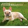 2027 BrownTrout For the Love of French Bulldogs 14" x 12" Monthly Wall Calendar, Assorted Colors (9798330714704)~#|#~40E1F9FB-94F4-4CEE-B18BA41C2AD944CA_sc7
