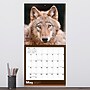 2027 TF Publishing Wolves 12" x 12" Monthly Wall Calendar, Multicolored (27-1035)~#|#~40ED29D9-0D5A-433B-8AB70ED7D1B81AE6_sc7