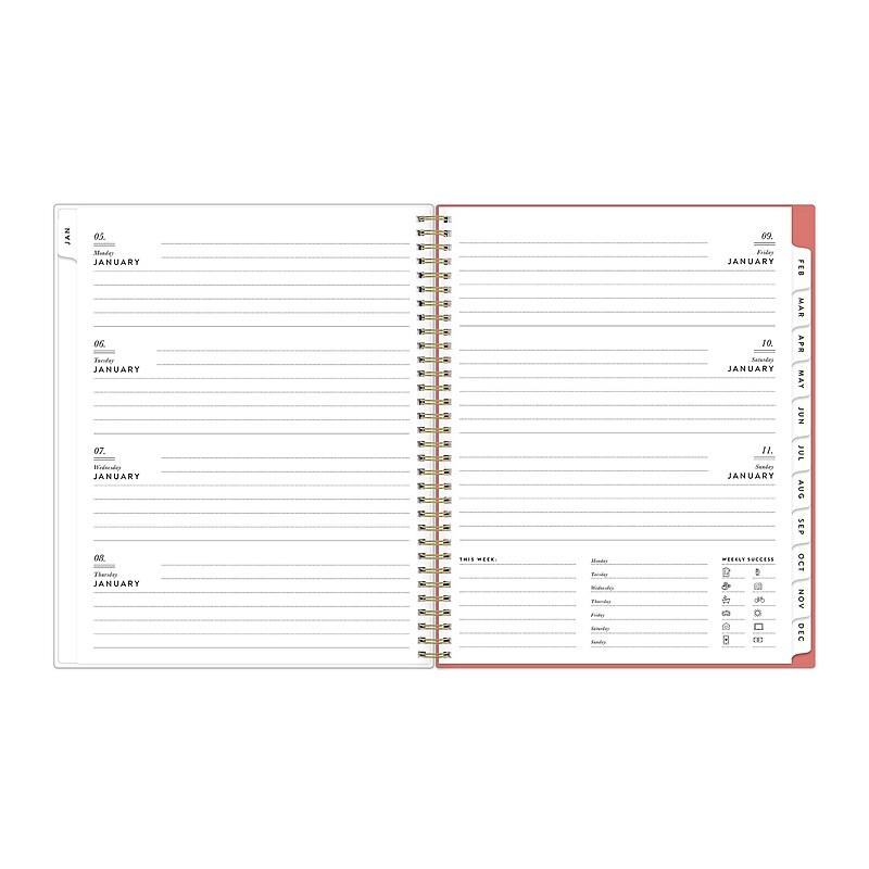 2026 Blue Sky Blush 8.5" x 11"  Weekly & Monthly Planner, Plastic Cover, Multicolor (155586) image 1
