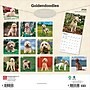2026 BrownTrout Goldendoodles 12" x 12" Monthly Wall Calendar (9798330703500)~#|#~4102A97E-8682-4B3B-ABDA534D7D474FEE_sc7