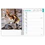 2026 BrownTrout Cat Lovers 6.5" x 7.75" Weekly Planner (9798330702763)~#|#~411048ED-A7B7-4E3D-A0031F9D112981DB_sc7
