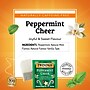 Twinings Seasonal Teas Decaf Peppermint Cheer Herbal Tea Bags, 20/Box (F14721)~#|#~4128B716-2BA1-48A2-9BF95CAE6A358C08_sc7