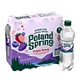 Poland Spring Triple Berry Sparkling Purified Water, 16.9 oz., 24/Carton (12349572)~#|#~412CEE93-9B46-40EA-BB5F2EDACA3A969A_sc7