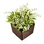 National Tree Company 10" Green Lily-of-the-Valley Flowers in Wood Box (MT81-00326GGR-1)~#|#~416315AA-D8D2-4E0A-95EBDF0B179151A2_sc7