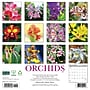 2027 Willow Creek Orchids 12" x 12" Monthly Wall Calendar, Assorted Colors (61626)~#|#~416C9AC1-AA6B-4F0E-87AD4925906F3B4C_sc7