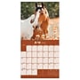 2026 TF Publishing 12" x 17" TF Publishing 7" x 7" Horses Mini Calendar 26-2001~#|#~41738AEA-9304-46E5-920D50B9DB79E399_sc7