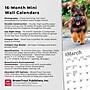 2026 BrownTrout German Shepherds 7" x 7" Monthly Wall Calendar (9798330707690)~#|#~41792112-B8DE-42BD-AD85BD4B503E34E2_sc7