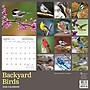 2026 TF Publishing Backyard Birds 12" x 12" Monthly Wall Calendar, Multi (26-1033)~#|#~41879D46-3B45-4EC0-BCDA27B513BB758A_sc7