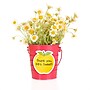Creative Teaching Press Apple Time Apples Designer Cut-Outs, 36/Pack, 3 Packs/Bundle (CTP11059-3)~#|#~419ACB36-3AC5-425C-ACBD121DA4C59D27_sc7