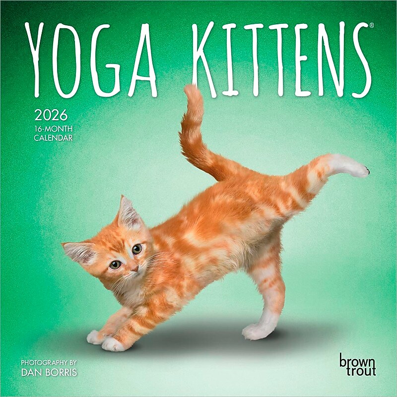 2026 BrownTrout Yoga Kittens 7" x 7" Monthly Wall Calendar (9798330701940) image 1