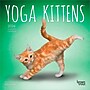 2026 BrownTrout Yoga Kittens 7" x 7" Monthly Wall Calendar (9798330701940)~#|#~41A399AF-D6C9-427A-BF185BC3C40A44F0_sc7