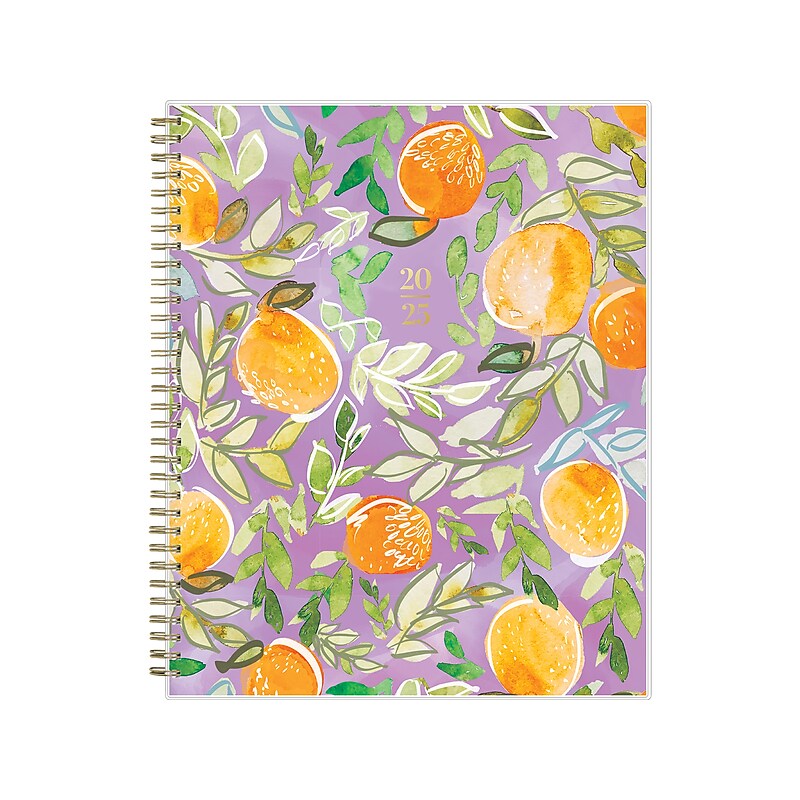 2025 Blue Sky Britt Mills Citrus Sunrise 8.5" x 11" Weekly & Monthly Planner, Plastic Cover, Multicolor (148026) image 1