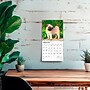 2026 BrownTrout Pug Puppies 7" x 7" Monthly Wall Calendar (9798330705214)~#|#~41B44CC0-76C5-4459-A6C4FA10391A9E77_sc7