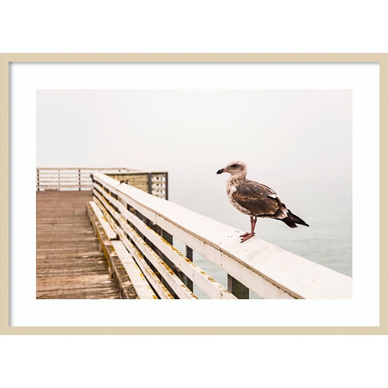 Amanti Art Sea gull on wharf by Alison Jones Danita Delimont Wood Framed Wall Art Print, 41" x 30" (A42675535759) image 1