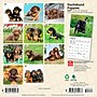 2027 BrownTrout Dachshund Puppies 7" x 7" Monthly Wall Calendar, Assorted Colors (9798330709977)~#|#~41C0E15D-75BD-413E-8453E146441C0BEA_sc7