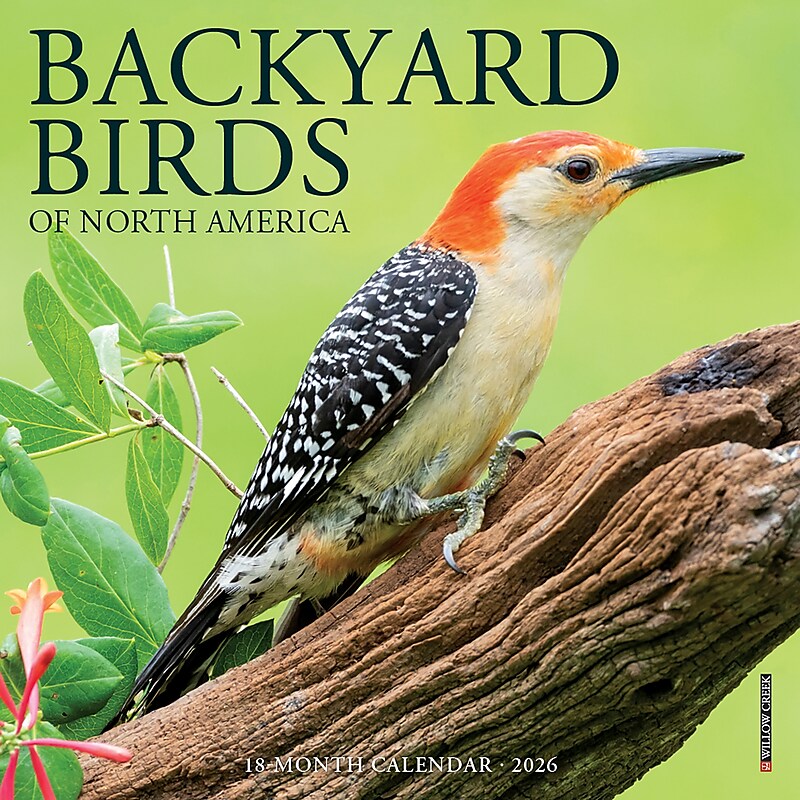 2026 Willow Creek Backyard Birds 7" x 7" Monthly Wall Calendar (53447) image 1