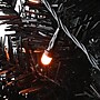 National Tree Company 4 ' Black Entrance Tree with String of Orange Lights (JI60-701-40)~#|#~41E2D3CD-EE96-42DE-A126B1D6F9D4F3D2_sc7