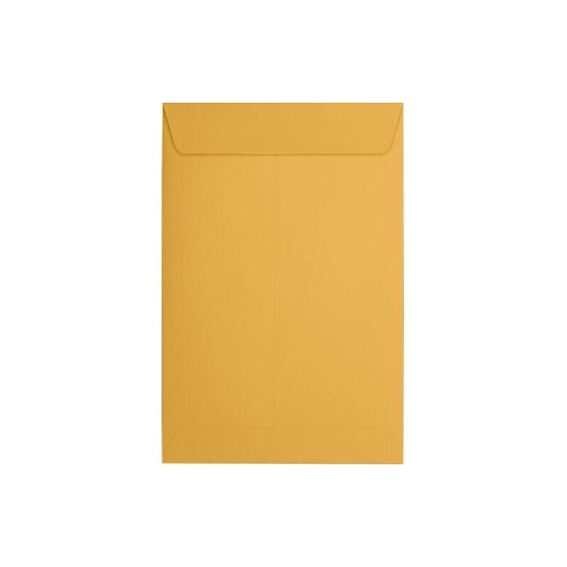 JAM Paper Catalog Envelope 6" x 9", Brown Kraft Manila, 50/Pack (1693i) image 1