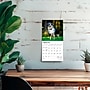 2026 BrownTrout Australian Shepherds 7" x 7" Monthly Wall Calendar (9798330702213)~#|#~41F1ADCF-D953-47B1-A4D7AD6E6F1C6BB6_sc7