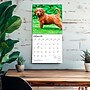 2027 BrownTrout Goldendoodles 12" x 12" Monthly Wall Calendar (9798330712489)~#|#~41F5C5F5-FD85-476A-90C71DF0F43B3C0C_sc7