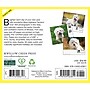 2027 Willow Creek Westies 5.4" x 6.2" Day-to-Day Calendar (63811)~#|#~426E151F-102A-4CB3-A0E7DF0576687BE5_sc7