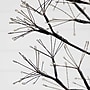 Nearly Natural Pre-Lit Artificial Halloween Black Starburst Tree, 6' (T5410)~#|#~427154D1-4FF0-42E2-B46309F3F92CE40B_sc7