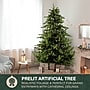 Fraser Hill Farm 9-Ft. Foxtail Pine Pre-Lit Artificial Christmas Tree, 1250 Lights (FFFX090-5GR)~#|#~42A9BFE5-0AD0-430A-8343F1B004E816F5_sc7