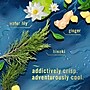 Febreze Air Freshener Aerosol, Ocean Scent, 8.8 oz., 2/Pack (48312)~#|#~42B62EAC-0566-4DA4-BC64E31D479BF004_sc7