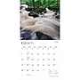 2027 BrownTrout Massachusetts Wild & Scenic 12" x 12" Monthly Wall Calendar (9798330714360)~#|#~42BF8326-17A3-4418-B61DD9C8EA070230_sc7