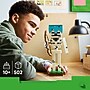 LEGO Minecraft The Skeleton, 502 Pieces (21594)~#|#~42C51D9F-27D5-4B19-A30EFA52A15E9969_sc7