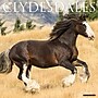 2026 Willow Creek Clydesdales 12" x 12" Monthly Wall Calendar (55373)~#|#~42CA51AD-E8C3-48FF-A8C0C11B71144B7B_sc7