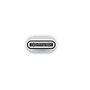 Apple USB-C to Lightning Adapter (MUQX3AM/A)~#|#~42D40612-3860-40A3-BDF2C56E83813E15_sc7