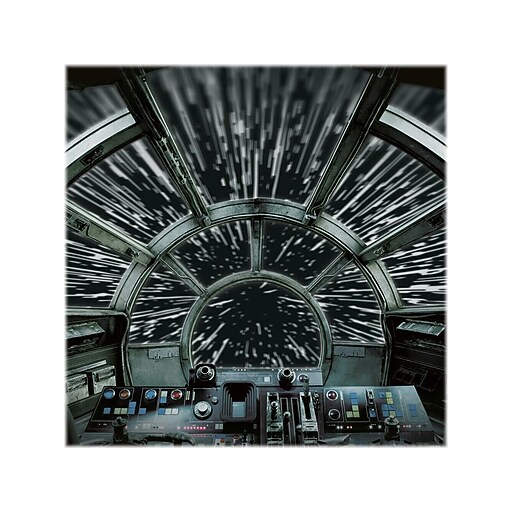 RoomMates Star Wars Millennium Falcon Contemporary Wall Mural