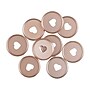 The Happy Planner 1.25"Dia. Medium Disc, Rose Gold, 9/Pack (RINR-08)~#|#~42EB5A0E-5D53-45AB-A8707A4BE144F0C5_sc7