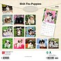 2026 BrownTrout Shih Tzu Puppies 12" x 12" Monthly Wall Calendar (9798330705559)~#|#~42F6B67D-44EF-4913-9684A5C009186C68_sc7