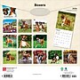 2026 BrownTrout Boxers International Edition 12" x 12" Monthly Wall Calendar (9798330702633)~#|#~4307225E-9897-4809-87B0694BA7B58A06_sc7