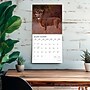 2026 Plato Monster Bucks 12" x 12" Monthly Wall Calendar (9798330706884)~#|#~4325CFB4-FA27-4EC4-B95F66751824C4F3_sc7