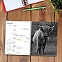 2027 Willow Creek Highland Cows 6.5" x 8.5" Weekly & Monthly Desk Calendar (64412)~#|#~4327965C-EB5A-4C0E-A5C56C98ECD31479_sc7