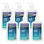 ECOS PRO Liquid Hand Soap, Lavender Scent, 17 oz., 6/Carton (EOPPL96656)~#|#~43357B35-35AA-4D63-867CDC3756CF5A16_sc7