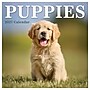 2027 TF Publishing Puppies 7" x 7" Monthly Wall Calendar, Multicolored (27-2007)~#|#~4338A3A2-4FFA-4089-9C9CC6CB9DEBA960_sc7
