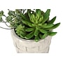 Monarch Specialties Inc. 9" Artificial Succulent Plant in Pot, 2/Set (I 9365)~#|#~436637F3-F68C-4A4A-9C12FEB42118B927_sc7