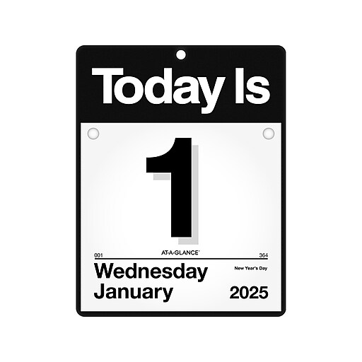 2025 ATAGLANCE Today Is 9.5" x 12" Daily Wall Calendar, White/Black