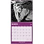 2026 BrownTrout Marilyn Monroe 12" x 12" Monthly Wall Calendar (9798330701384)~#|#~439B3181-7DDC-4921-83AE6C09B4B78B32_sc7