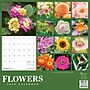 2026 TF Publishing Flowers 12" x 12" Monthly Wall Calendar, Multi (26-1034)~#|#~43A86FA5-958A-4021-9C1DDF202A0C93CC_sc7